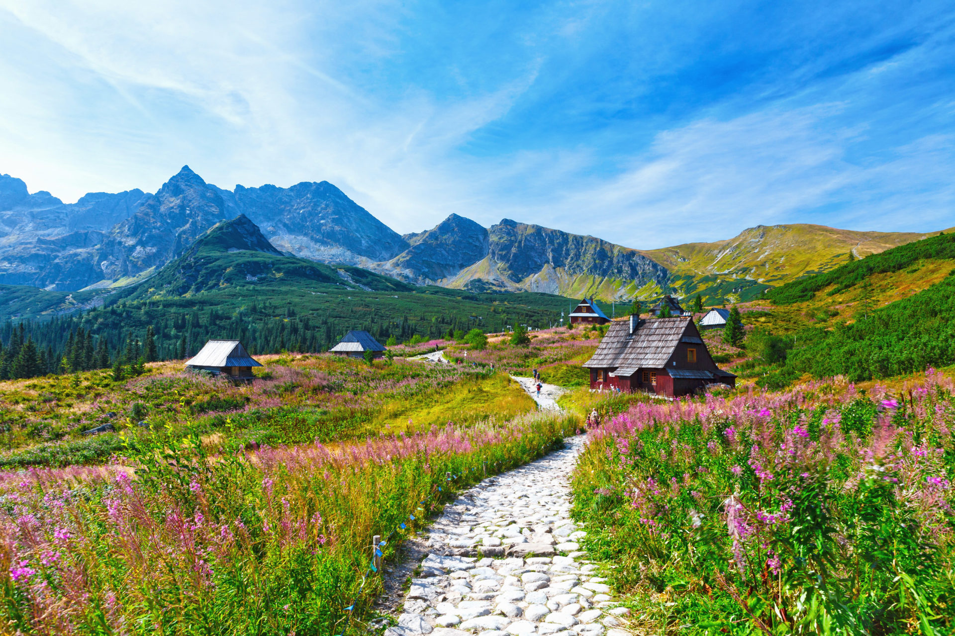 Dolina Gąsienicowa w Tatrach