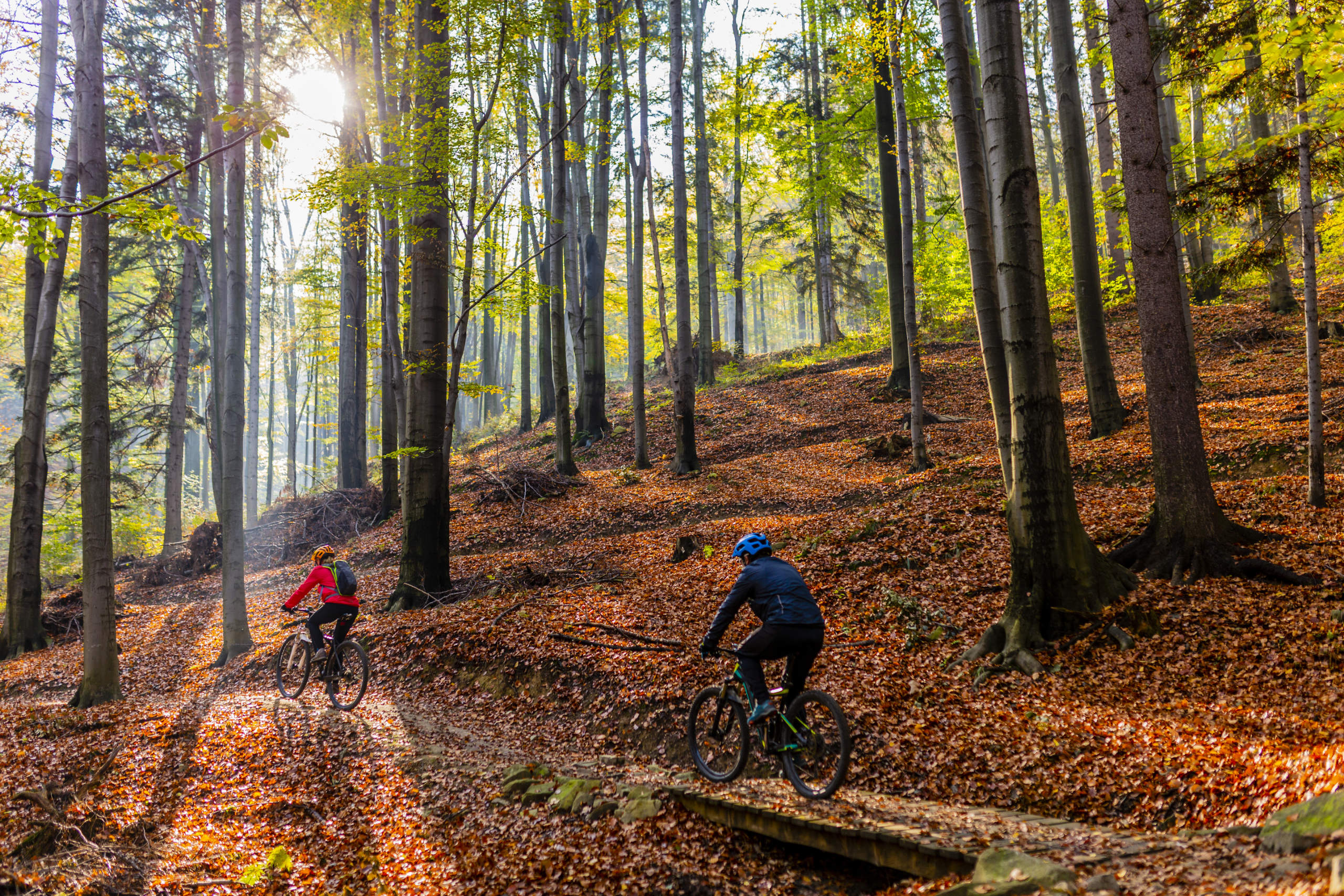 Dwójka rowerzystów jedzie przez jesienny las